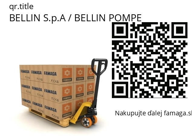   BELLIN S.p.A / BELLIN POMPE 941K21