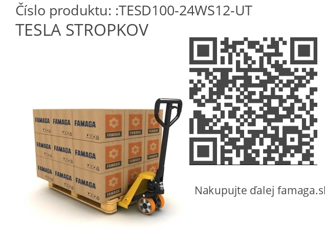   TESLA STROPKOV TESD100-24WS12-UT